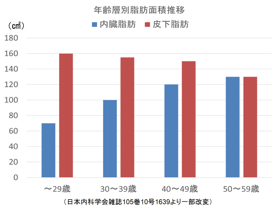 年齢層別脂肪面積推移