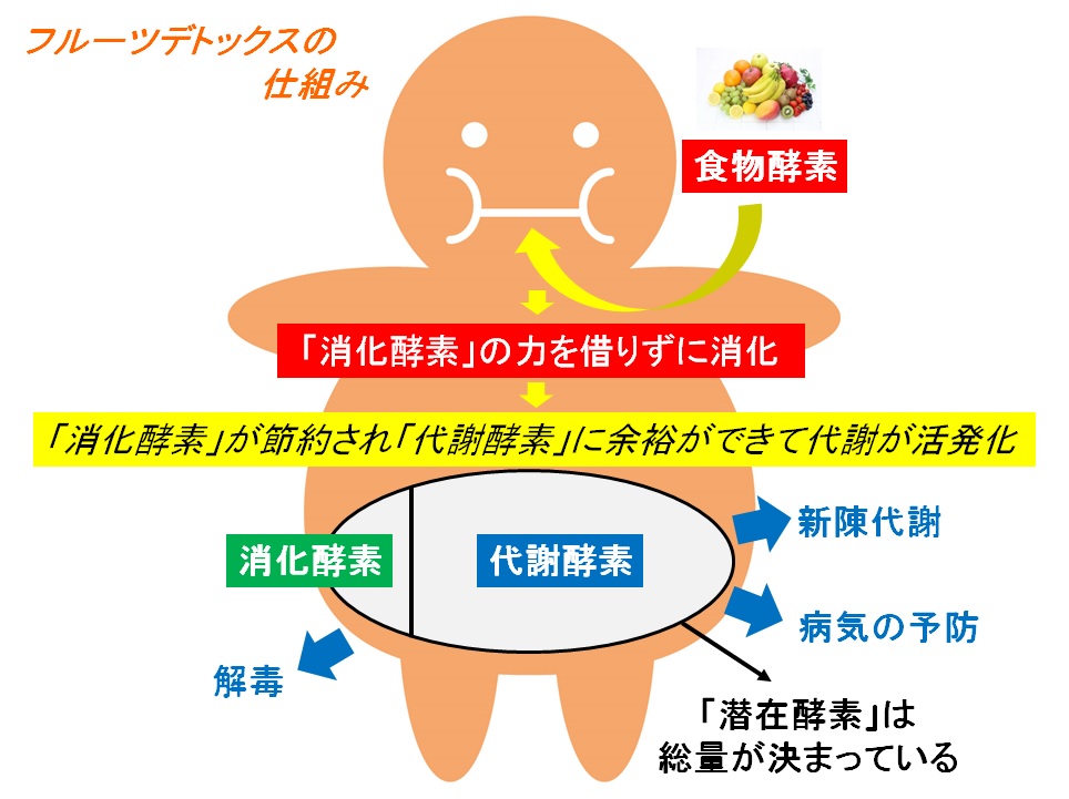 フルーツデトックスの仕組みの図