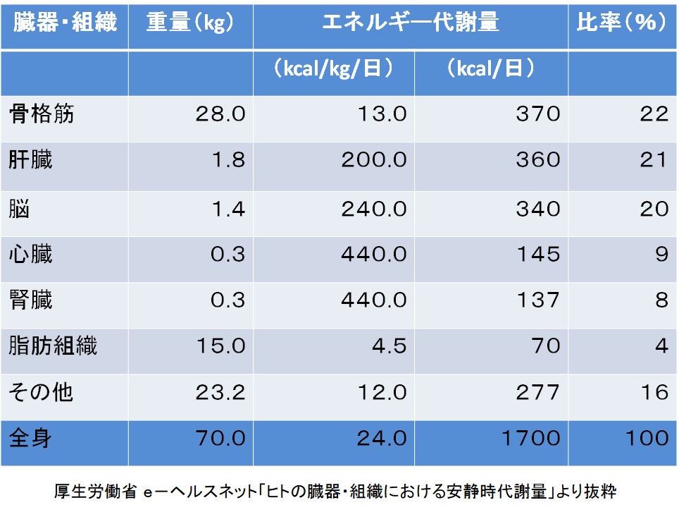 臓器・組織の基礎代謝量の構成比の表