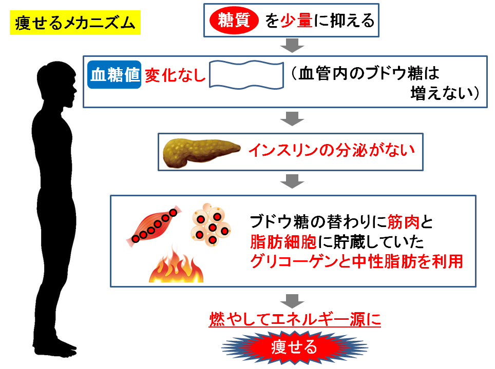 痩せるメカニズムの図